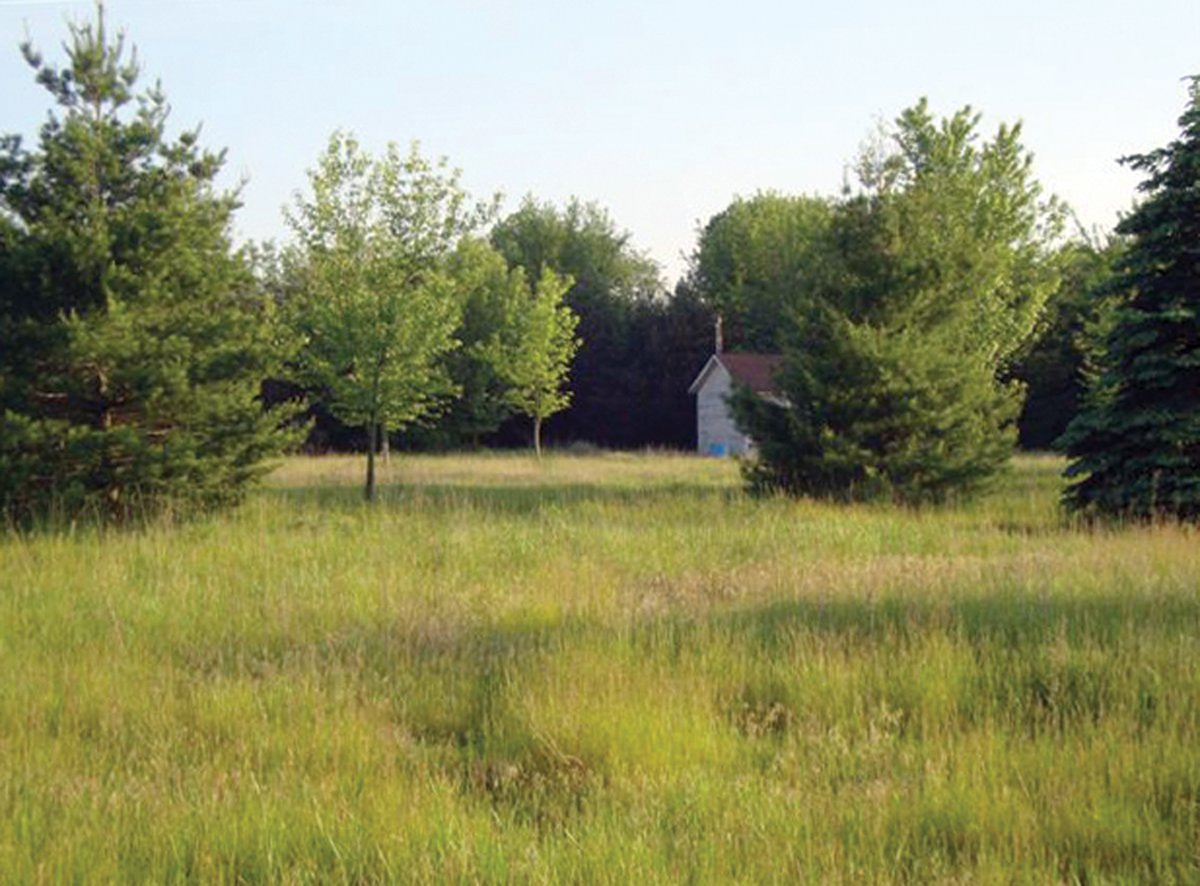 Property photo 2 - 10 Acre Building Site Real Estate Auction